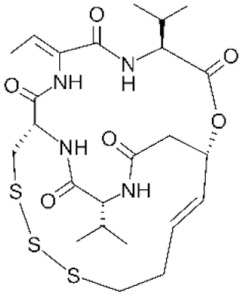 graphic file with name genes-11-00556-i019.jpg