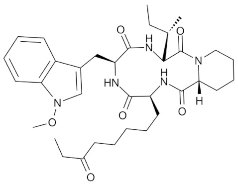 graphic file with name genes-11-00556-i017.jpg