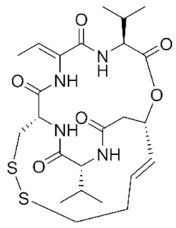 graphic file with name genes-11-00556-i018.jpg