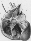 306-3