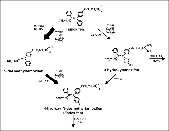 Fig 1.