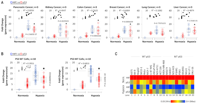 HIF-transcribed p53 chaperones HIF-1α - PMC