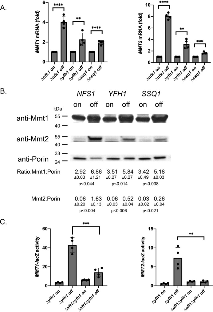 Figure 5.