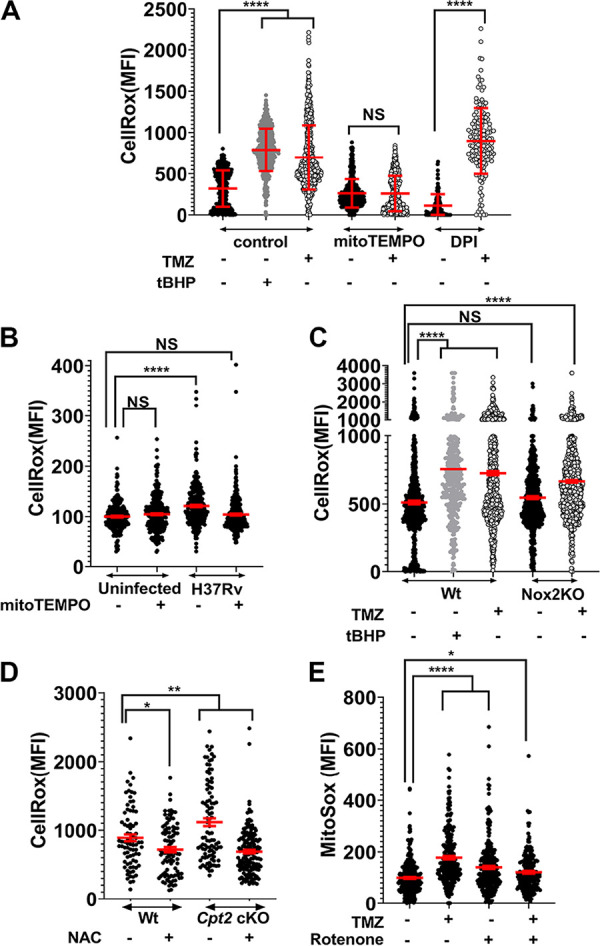 FIG 2