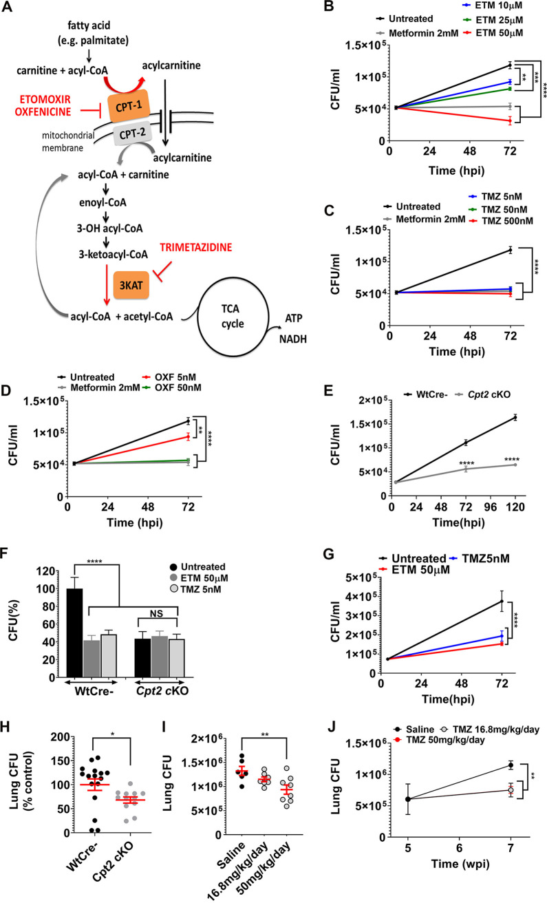 FIG 1