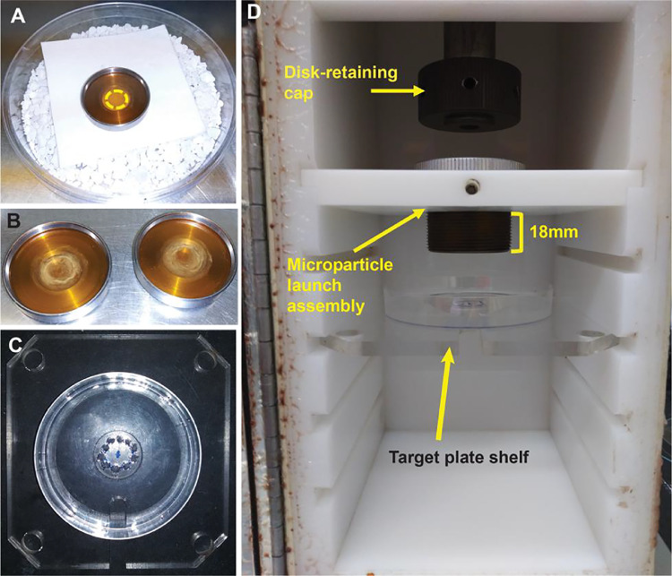 Fig. 2