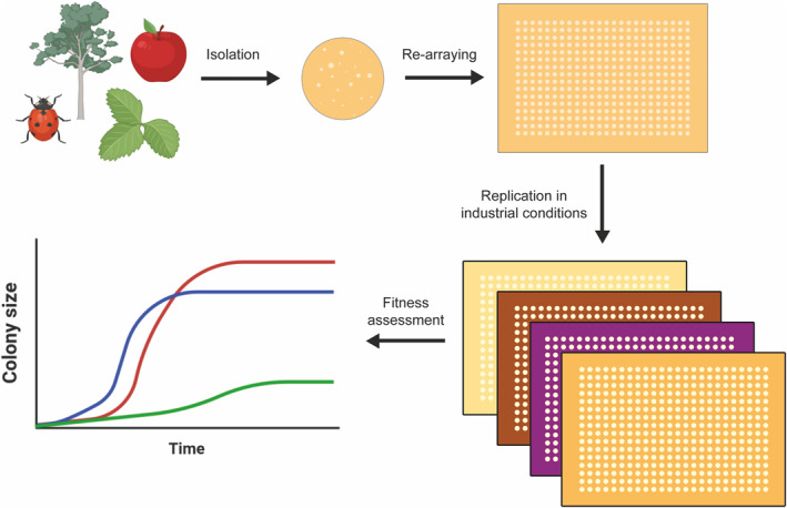 FIGURE 1