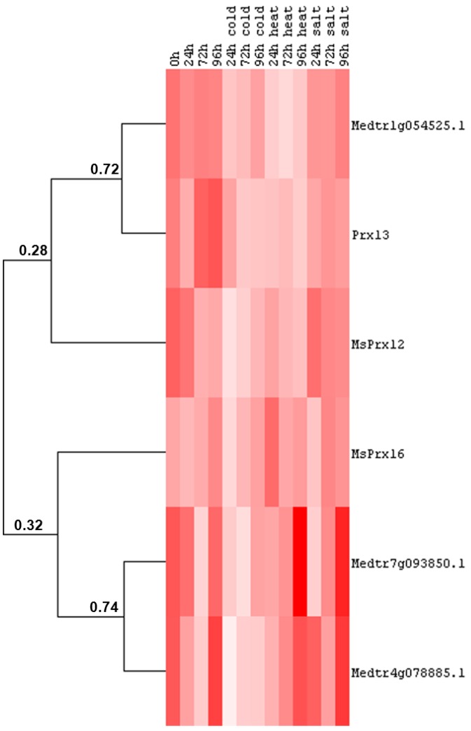 Figure 7