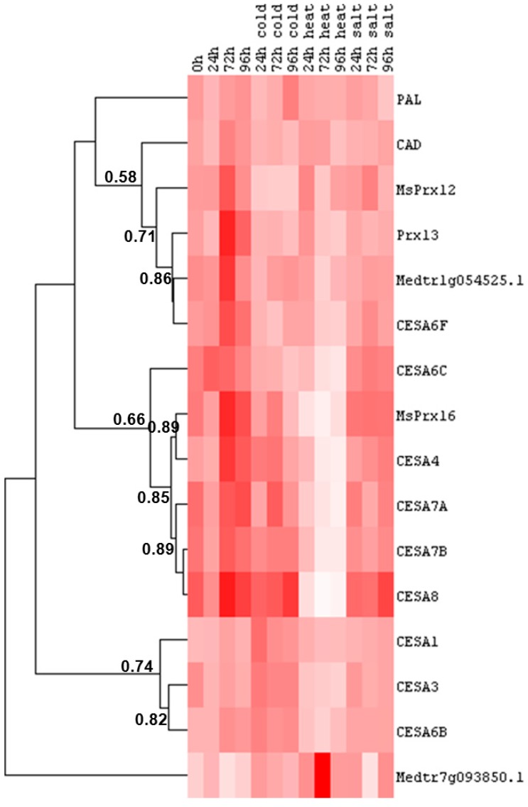 Figure 5