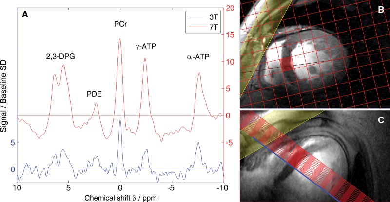 Figure 2: