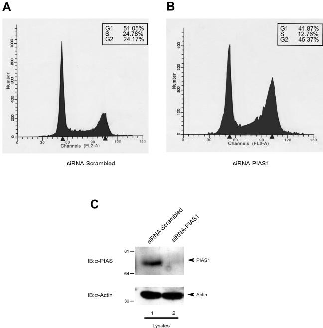 FIG. 10.