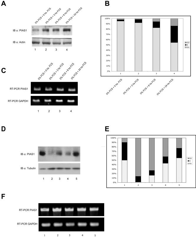 FIG. 9.