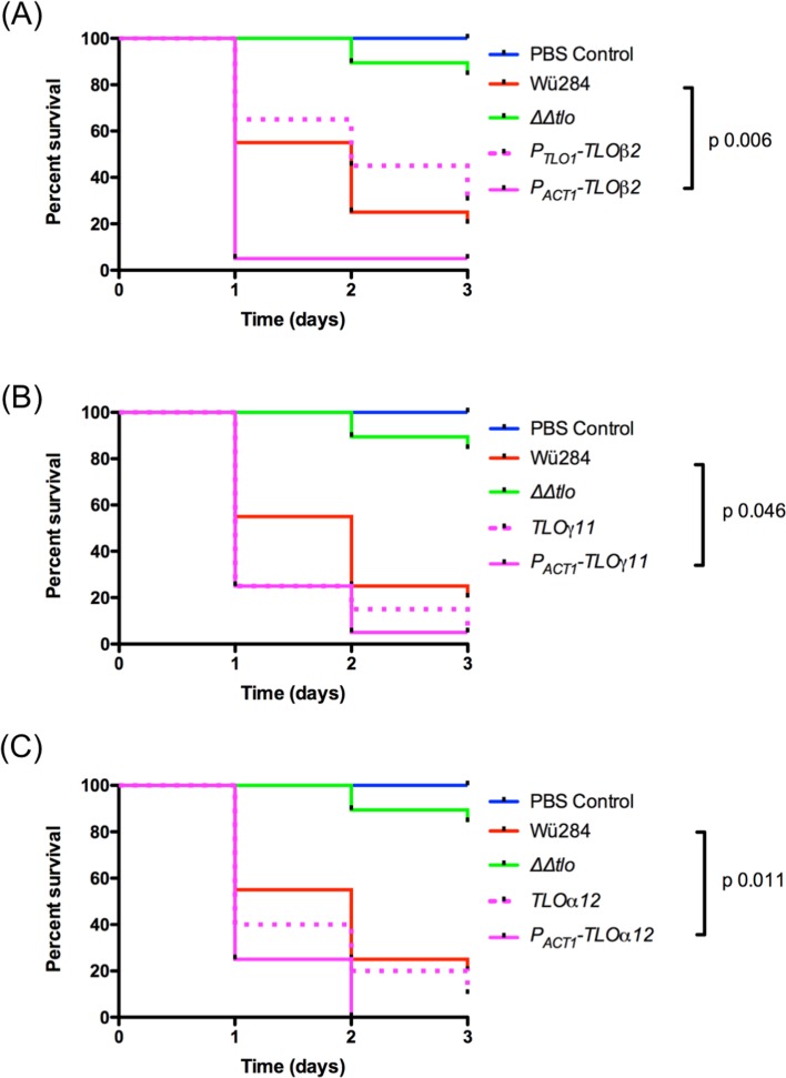 Fig 6