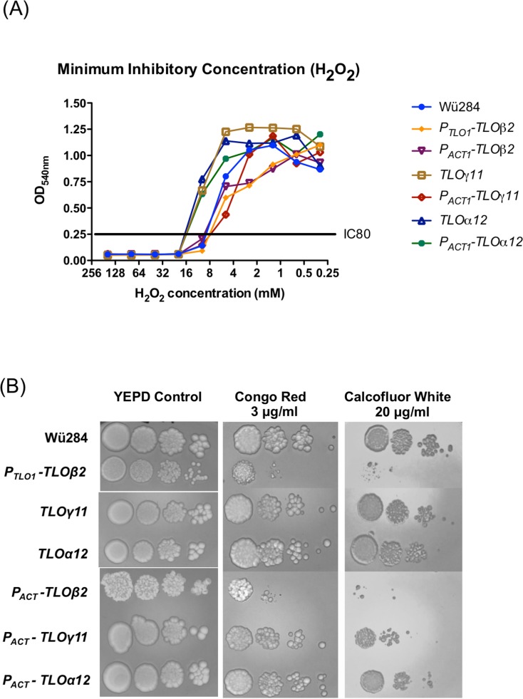 Fig 4