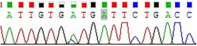 Figure 4