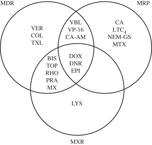 Figure 1.