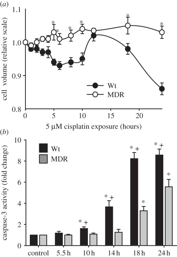 Figure 4.