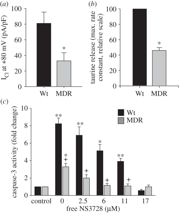 Figure 5.