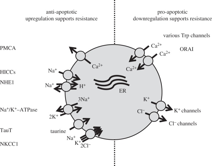 Figure 2.