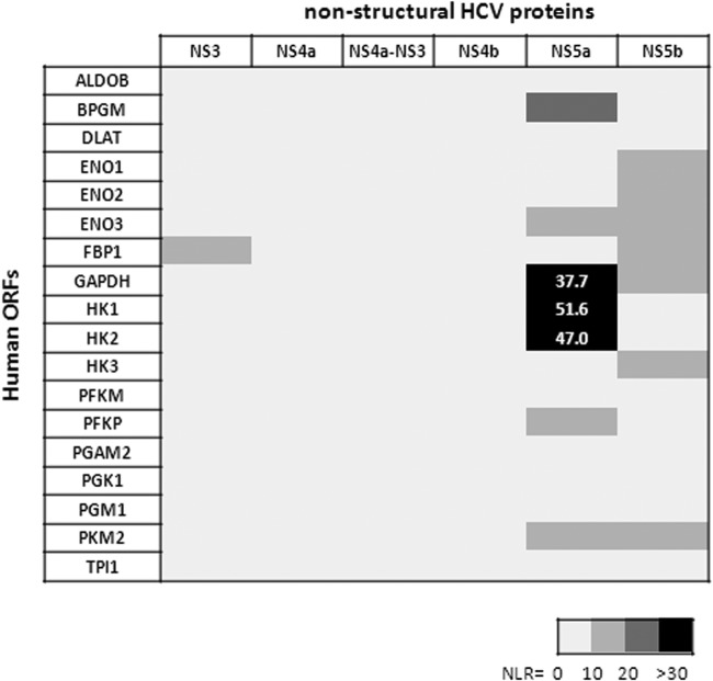 FIG 3