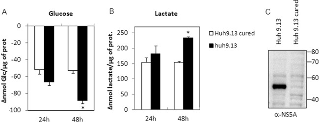 FIG 2