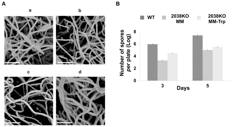 Fig 4