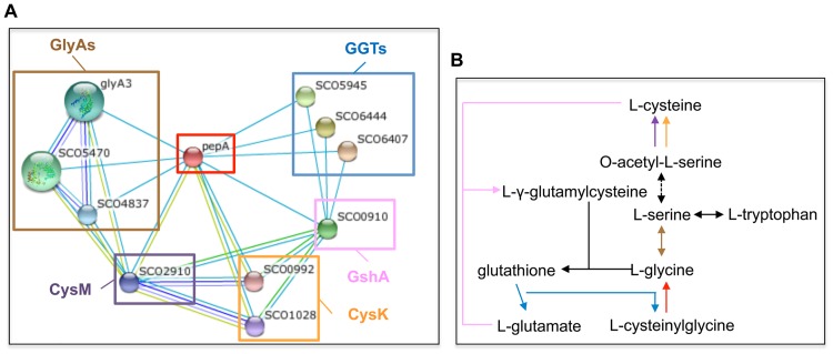 Fig 6