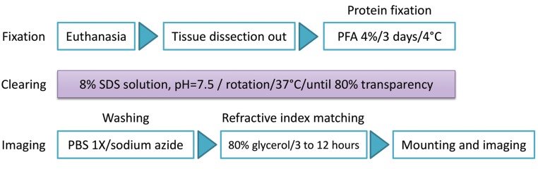 Fig.1