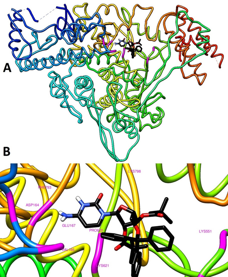 Fig 6