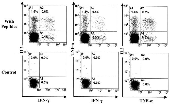 FIG. 2.