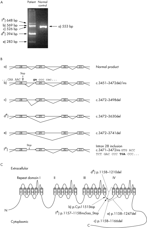 graphic file with name mg40741.f2.jpg