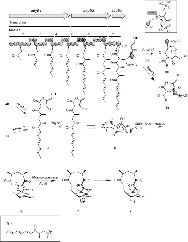 Scheme 2