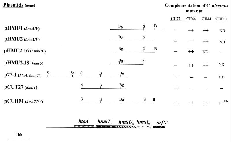 FIG. 1