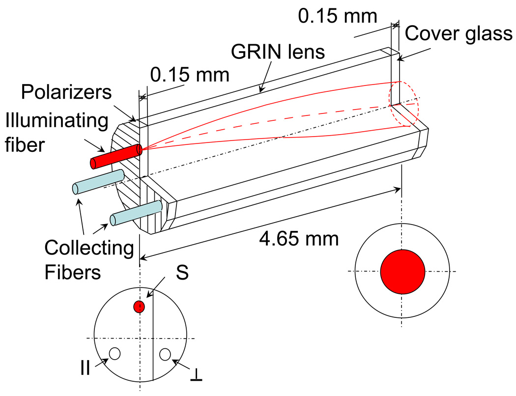 Fig. 3