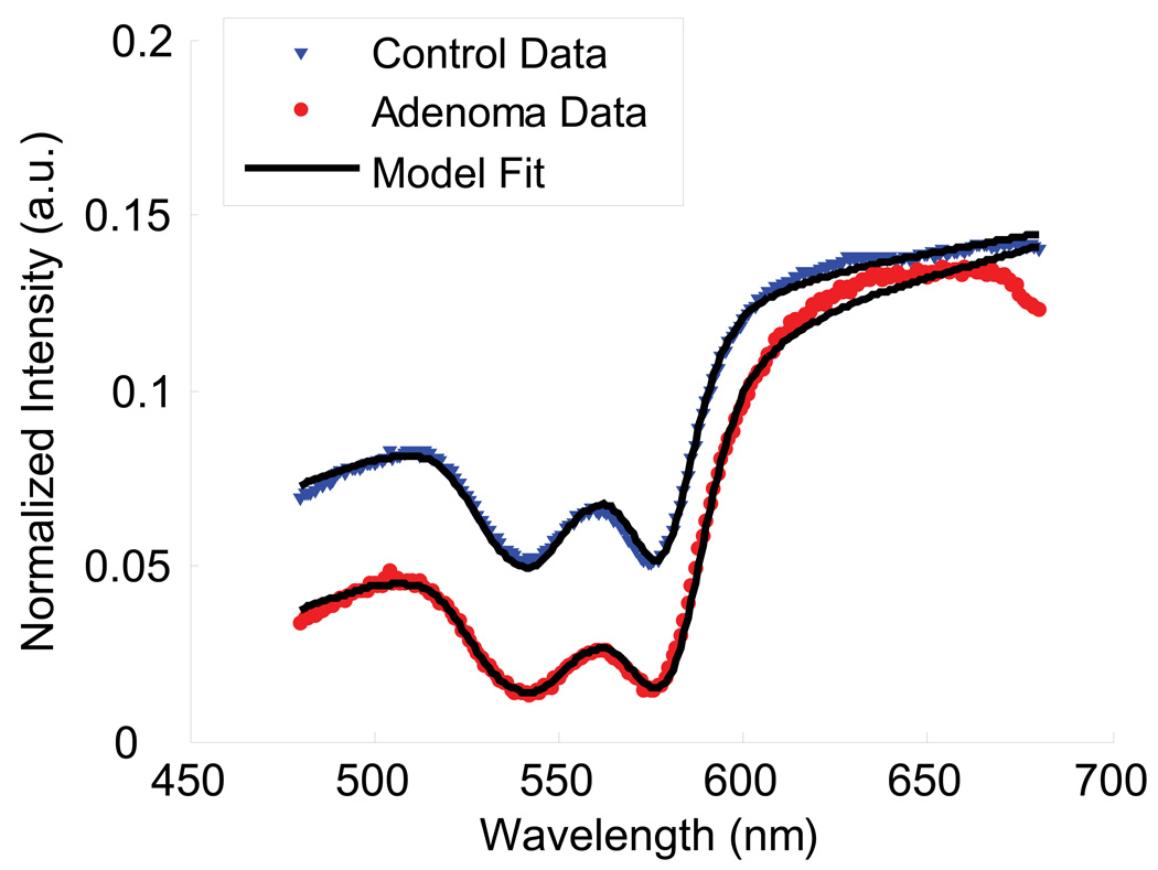 Fig. 7