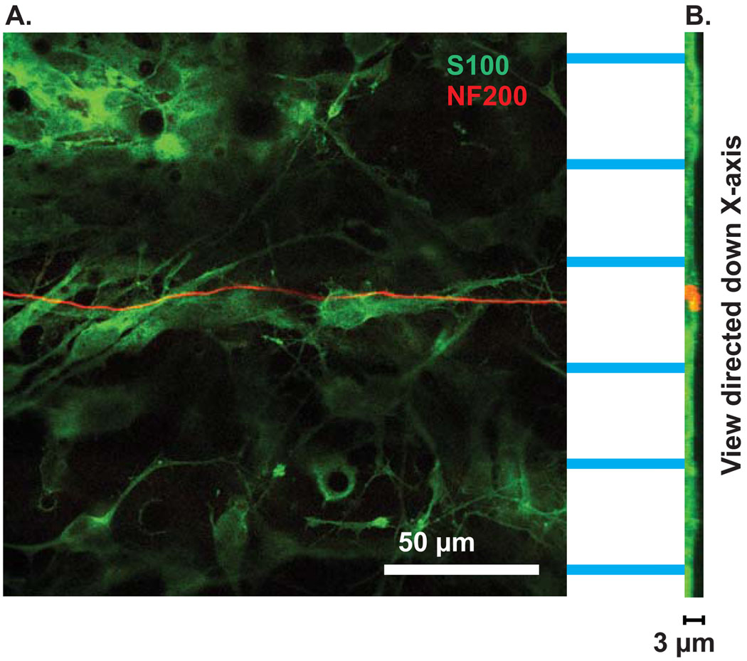 Figure 9