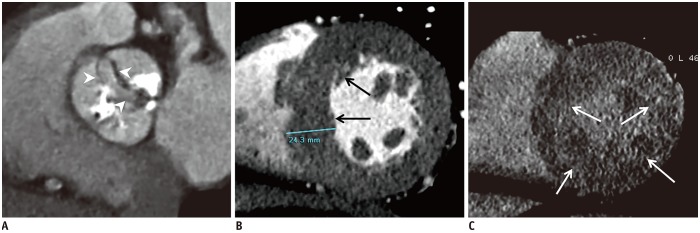 Fig. 10