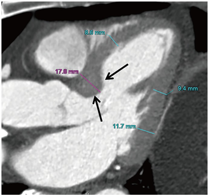 Fig. 6