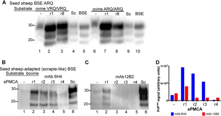 FIGURE 7.