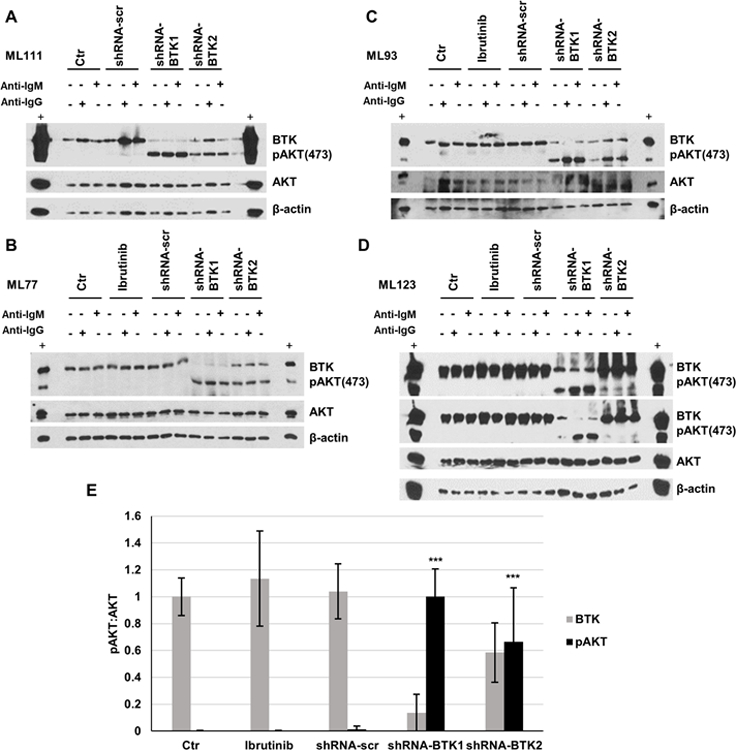 Figure 5: