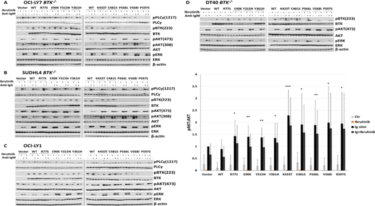 Figure 4: