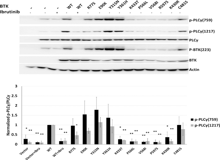 Figure 3: