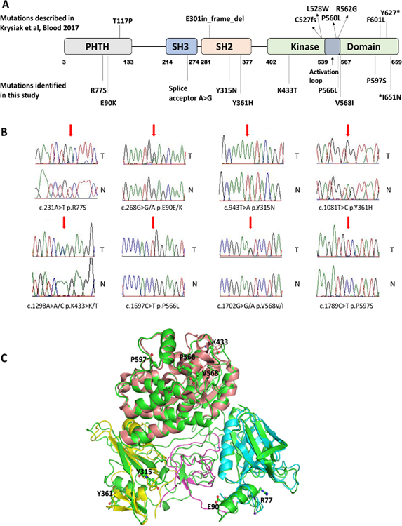 Figure 1: