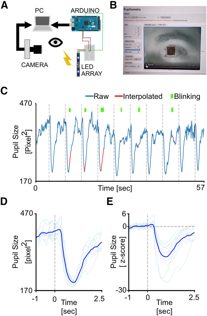 Figure 4.