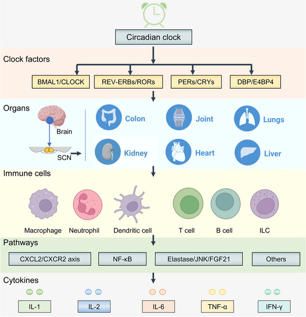 FIGURE 2