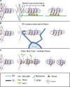 Fig. 3