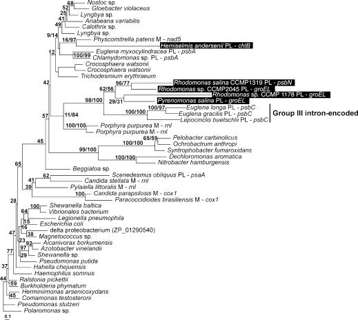 Figure 5.