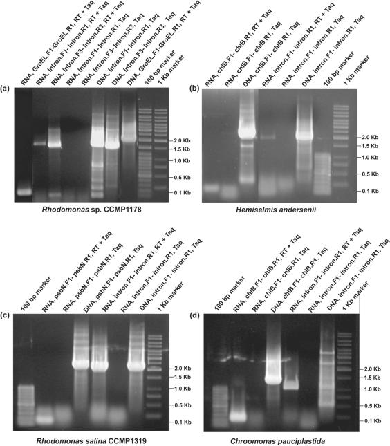 Figure 4.