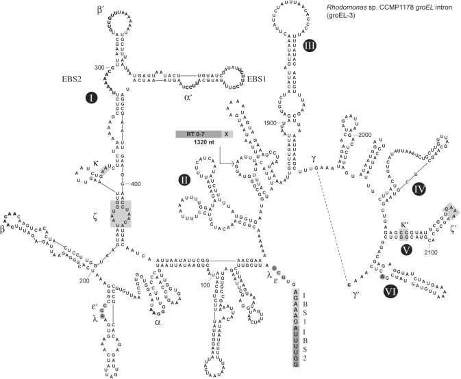 Figure 3.