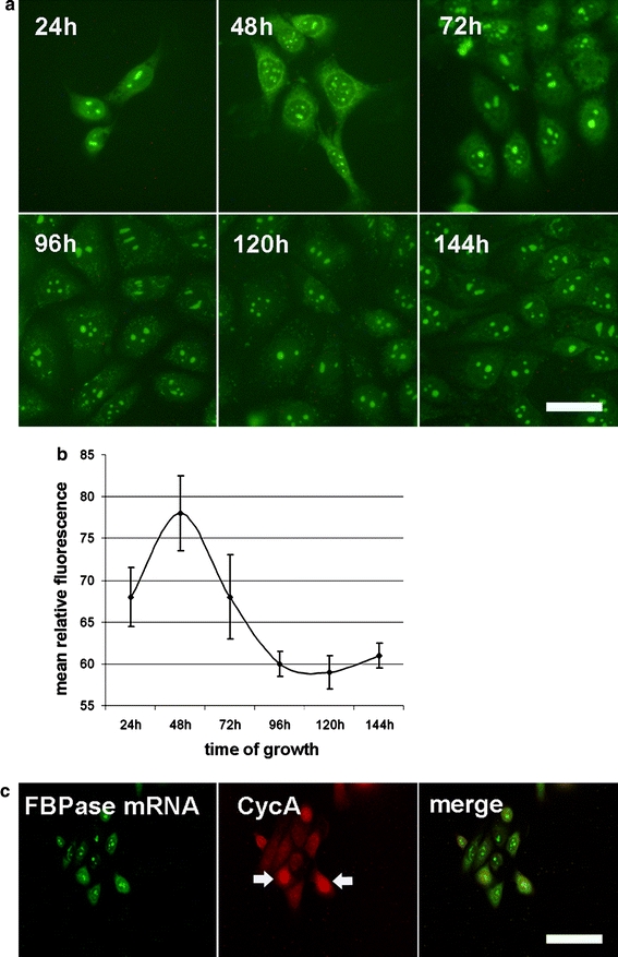 Fig. 7